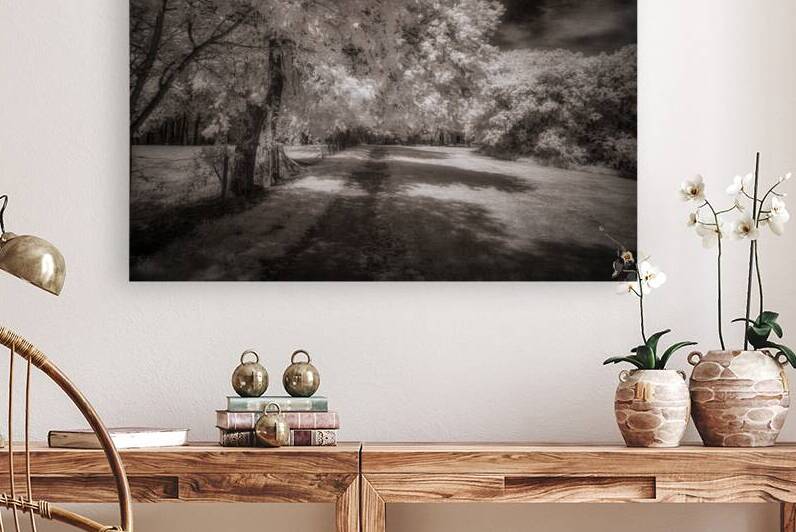 Invisible Texas Trail by Dream World Images