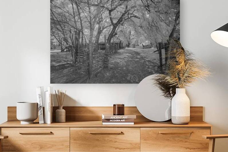 Farm path - 2 by Dream World Images