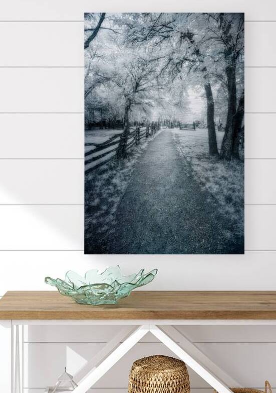 Rustic Reverie: Exploring the Historic Farm Trails by Dream World Images