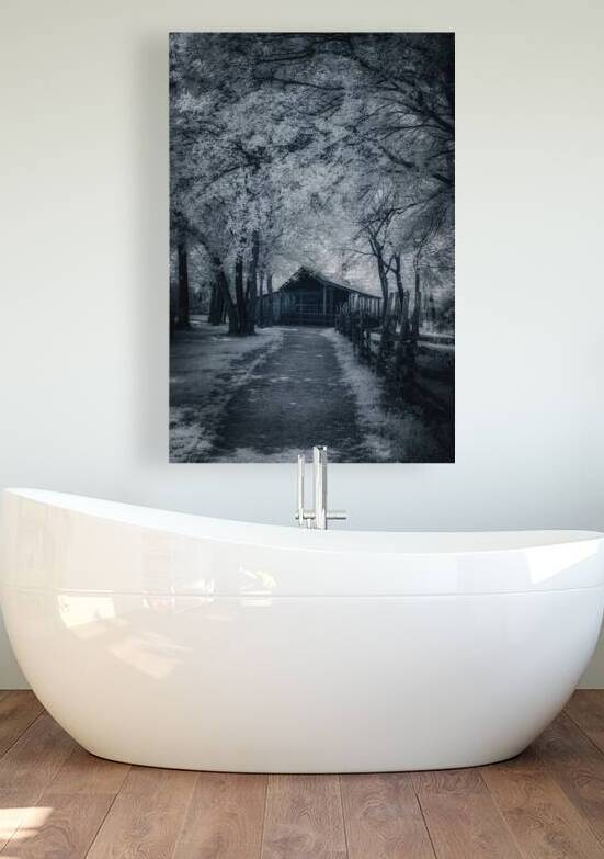 Canopy of Calm Over Rustic Roads by Dream World Images