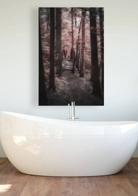 Pink Path -1 by Dream World Images