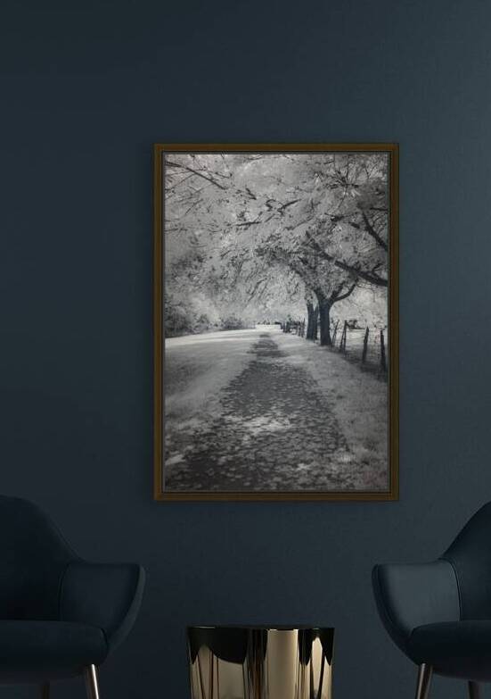 Farm Path - 3 by Dream World Images