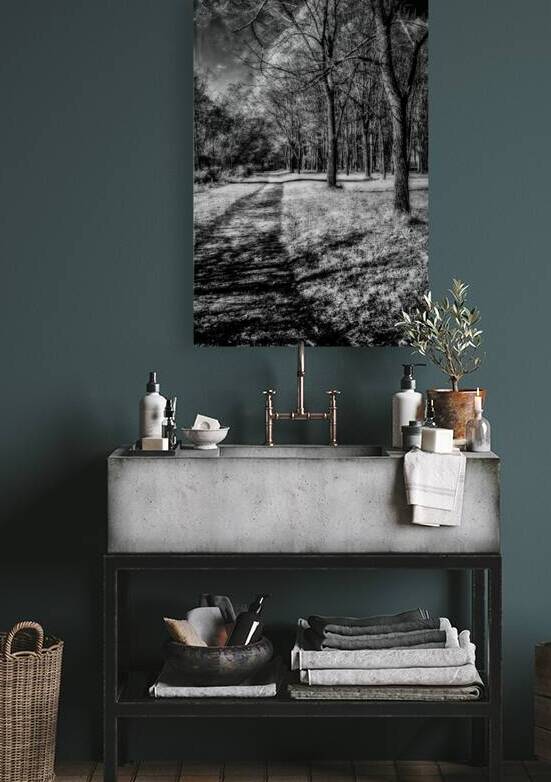 Enchanted Pathways: A Monochrome Overture by Dream World Images