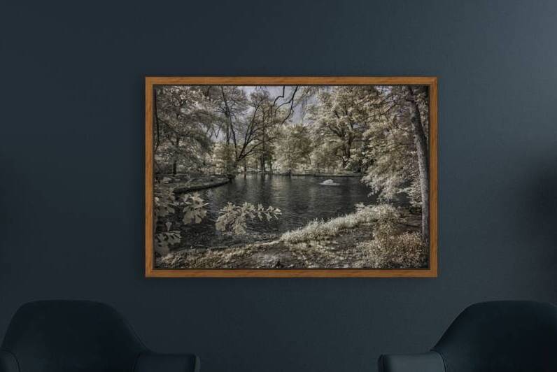 Lake Edge and Overhanging Branches: Sam Houston Site by Dream World Images