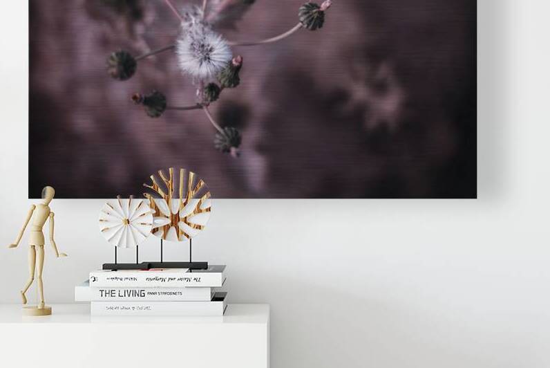 Whispers of Nature: Capturing the Essence of Dandelion Seeds by Dream World Images