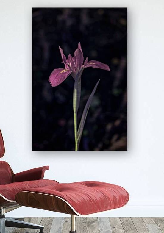 Texas Flower by Dream World Images