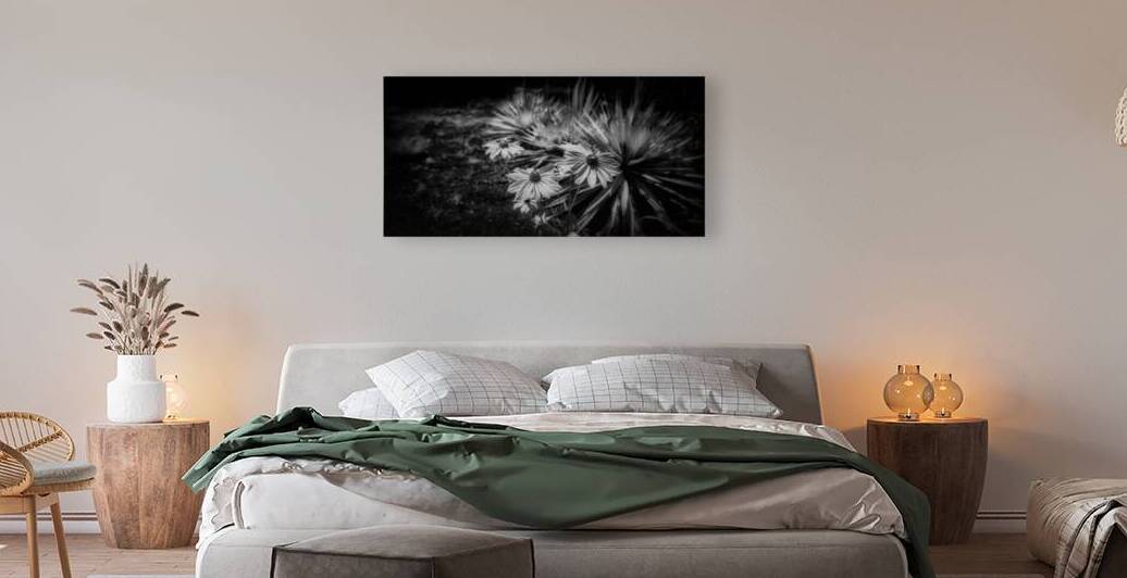 Flowery by Dream World Images