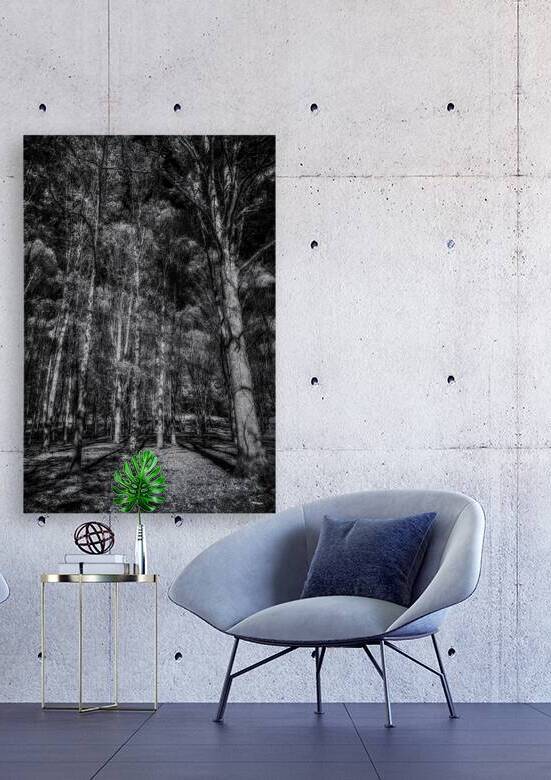 Tall Dark Symphony: A Winters Tale in Infrared Black and White by Dream World Images