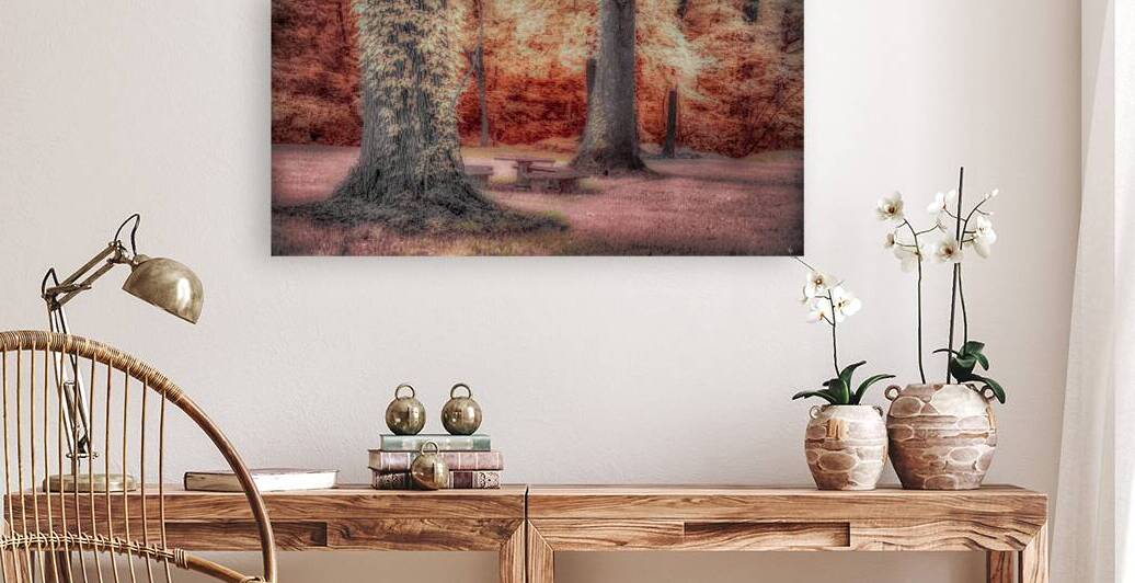 Aunts Oasis: Discovering the Dreamy Charm of a Color Infrared Patio Set in Tennessee by Dream World Images