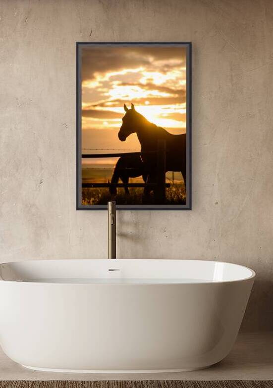 Sunset Silhouette: Portrait of Ernie by Dream World Images