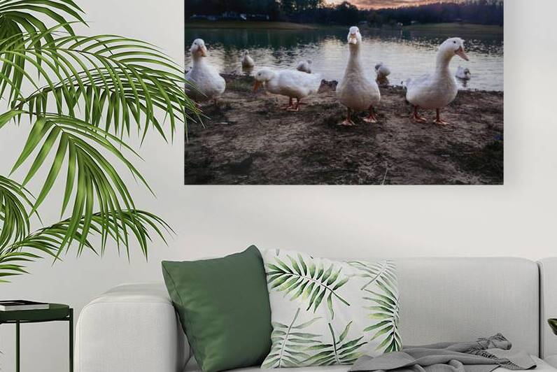 We are Coming by Dream World Images