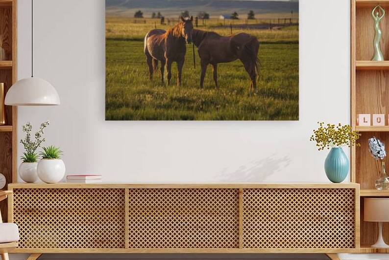 Equine Harmony in Billings by Dream World Images