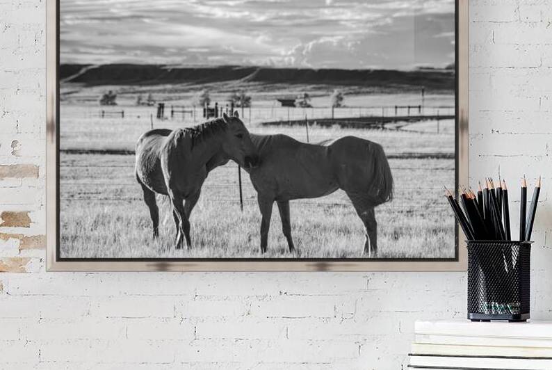 Equine Connection by Dream World Images