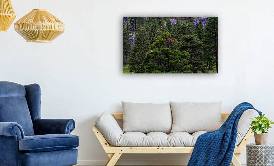 Old Baldy by Dream World Images