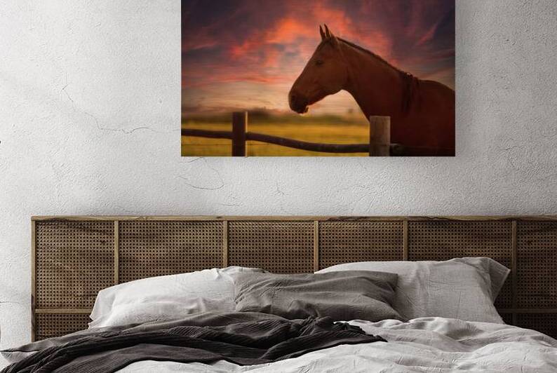 Ernie at sunset by Dream World Images