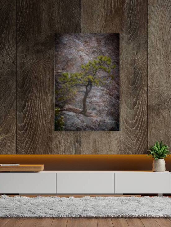 Solitary Pine on Granite: A Snapshot of Sylvan Lakes Tranquility by Dream World Images