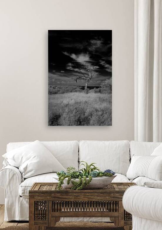 Symphony of Light and Shadow by Dream World Images