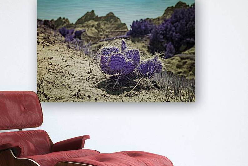 SD Purple Cactus by Dream World Images