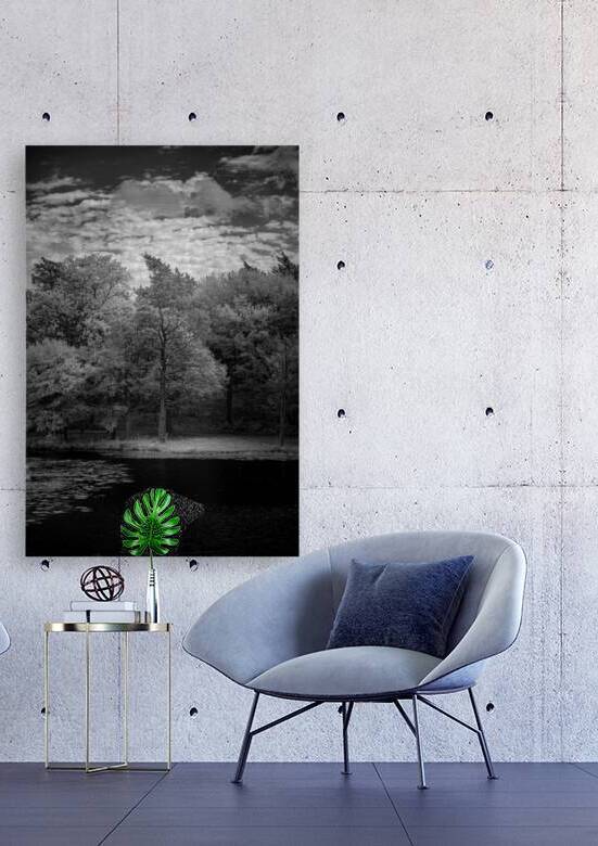 Castles Guardian by Dream World Images