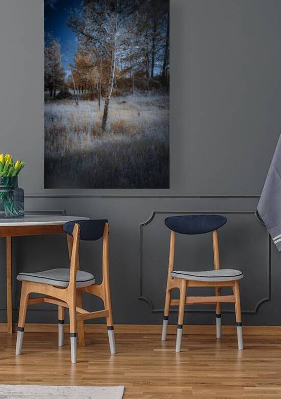 Golden Aspen by Dream World Images