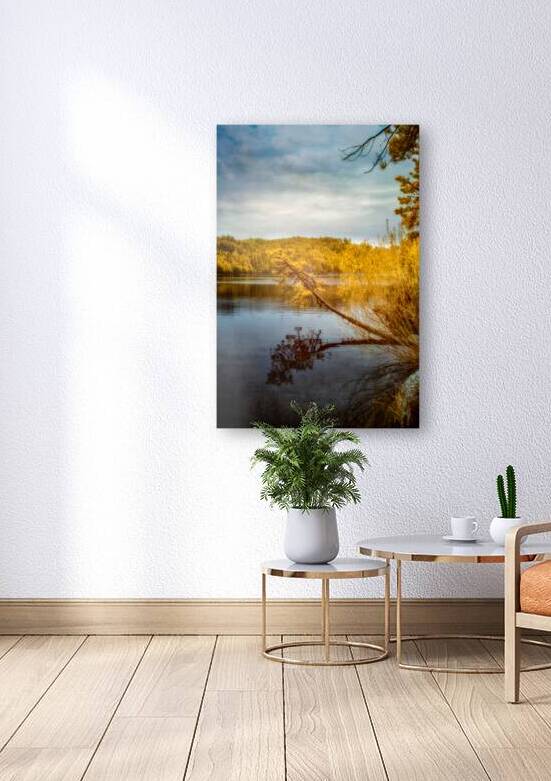 Shadows and Reflections: Overhanging Trees on Center Lake by Dream World Images