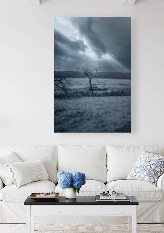 Solace in Solitude: A Blue Lighted Tree in Infrared by Dream World Images