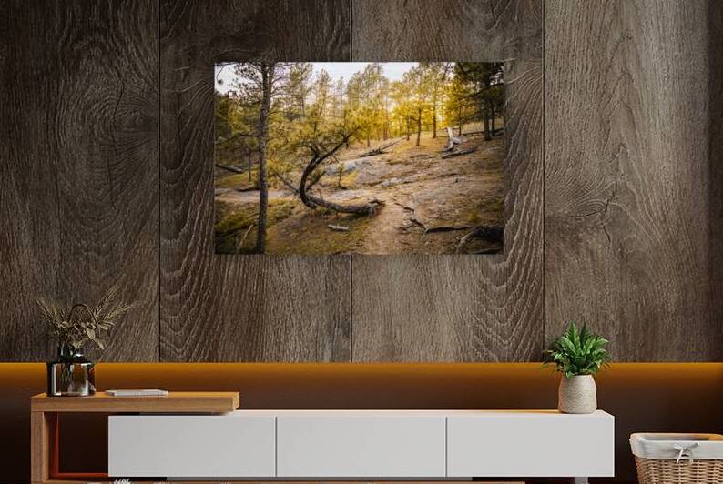 Natures Golden Arc by Dream World Images