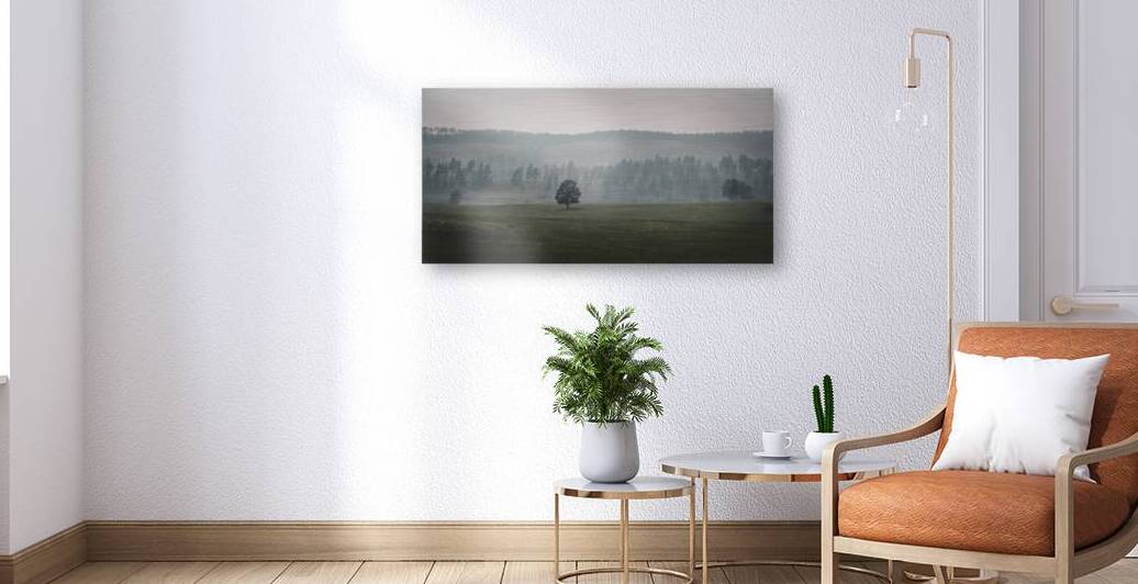 Solitudes Symphony: A Journey Through Custers Wildlife Loop by Dream World Images