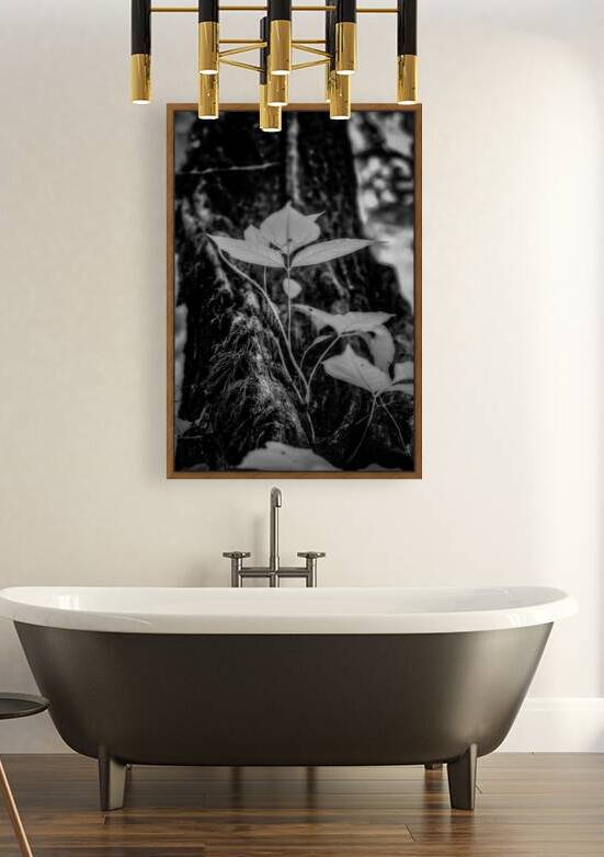 Whispers of Poison by Dream World Images