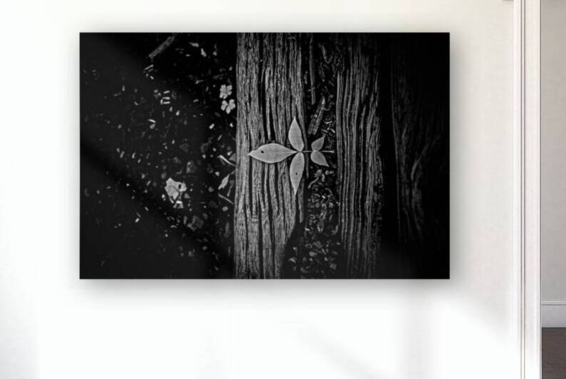 Step Above  by Dream World Images