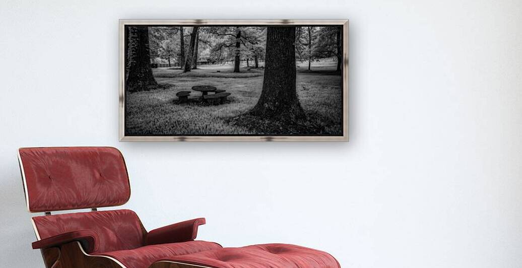 Picnic in Shadows by Dream World Images