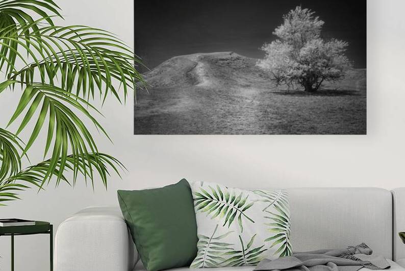 Silent Beauty: Navigating the Badlands by Dream World Images