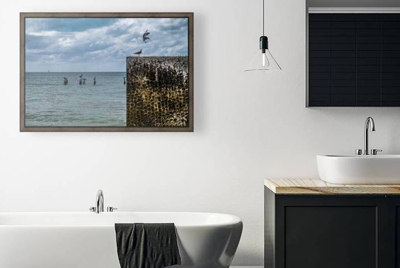 Anniversary Serenity: Discovering a Seagull Ballet and Gulf Views in Key West by Dream World Images