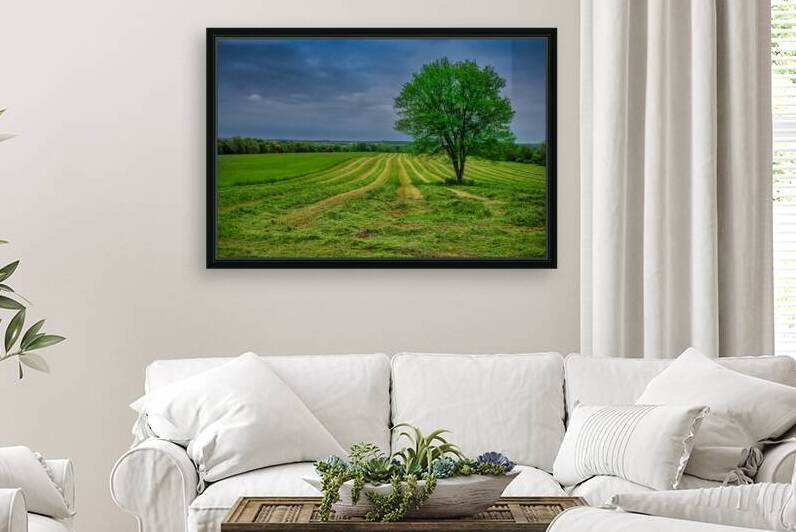 Verdant Harvest by Dream World Images