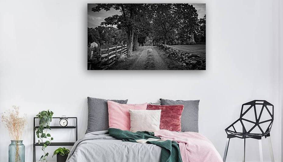 Path of Serenity: A Gettysburg Farm lane by Dream World Images