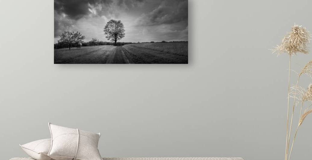 Majestic Solitude: An Evening Ride Through History by Dream World Images