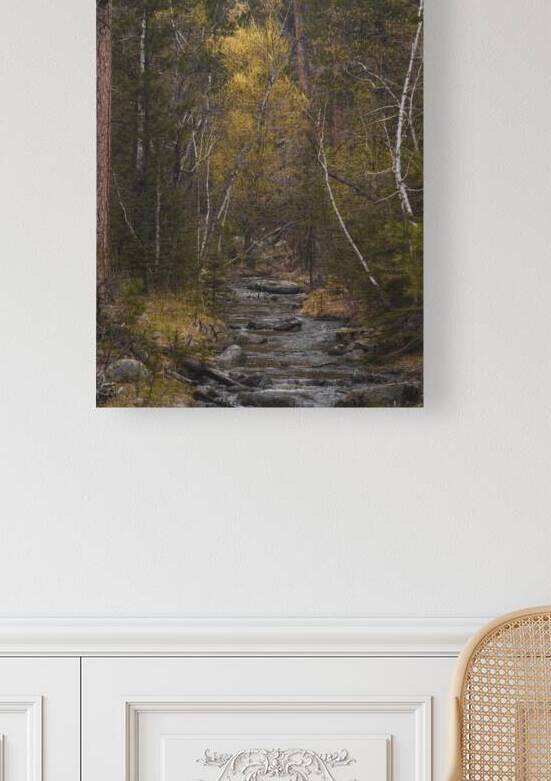 Golden Tranquility: Navigating Grace Coolidge Creek by Dream World Images