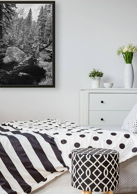 Monochromatic Serenity: Exploring Grace Coolidge Creek in Custer - Tall by Dream World Images