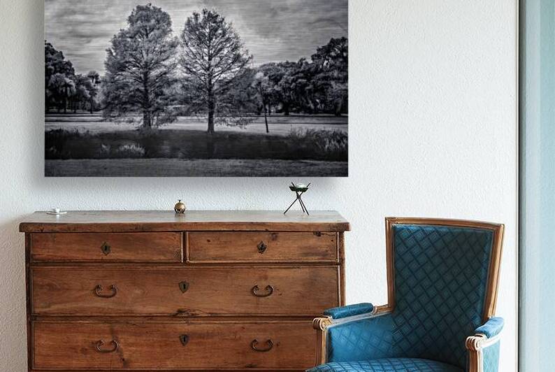 Mystical Twins: Unveiling the Beauty of Venetian Gardens in Leesburg by Dream World Images