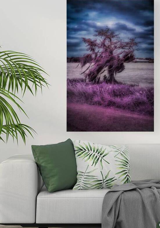 Purple Shelter: A Tranquil Stroll Through Venetian Gardens in Le by Dream World Images