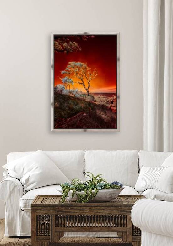 Ruby Bonsai: A Botanical Marvel Unveiled on Driftwood Beach by Dream World Images