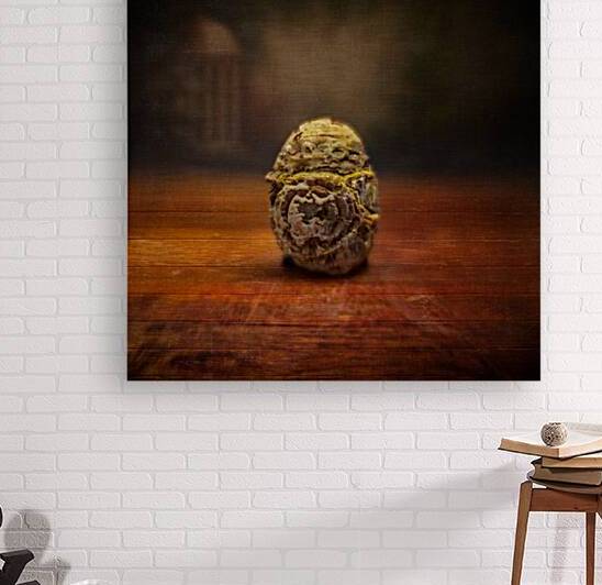 Natures Imprint: Egg-shaped Rock with Weathered Elegance by Dream World Images