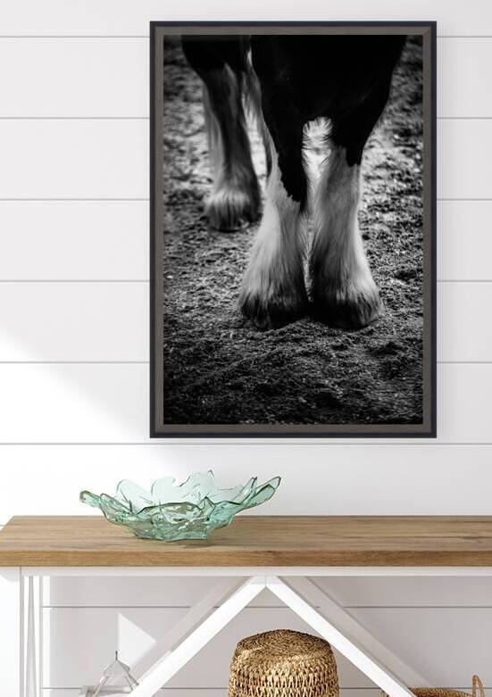 Hoofed Elegance: Exploring the Intricate Details of a Florida Horse by Dream World Images