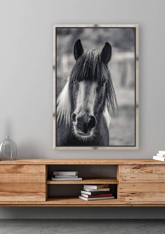 Curious Gaze: A Captivating Encounter with a Silent Horse  by Dream World Images