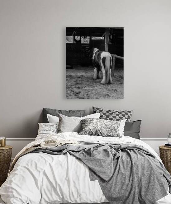 Mystique Unveiled: Capturing the Hidden Spirit of a Florida Horse by Dream World Images