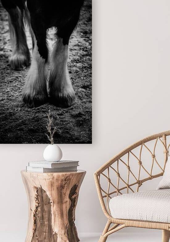 Hoofed Elegance: Exploring Intricate Details by Dream World Images