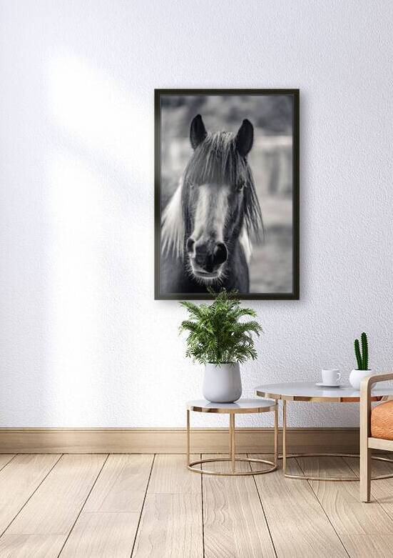 Curious Gaze: A Captivating Encounter with a Silent Horse  by Dream World Images