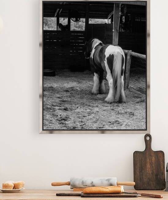 Mystique Unveiled: Capturing the Hidden Spirit of a Florida Horse by Dream World Images