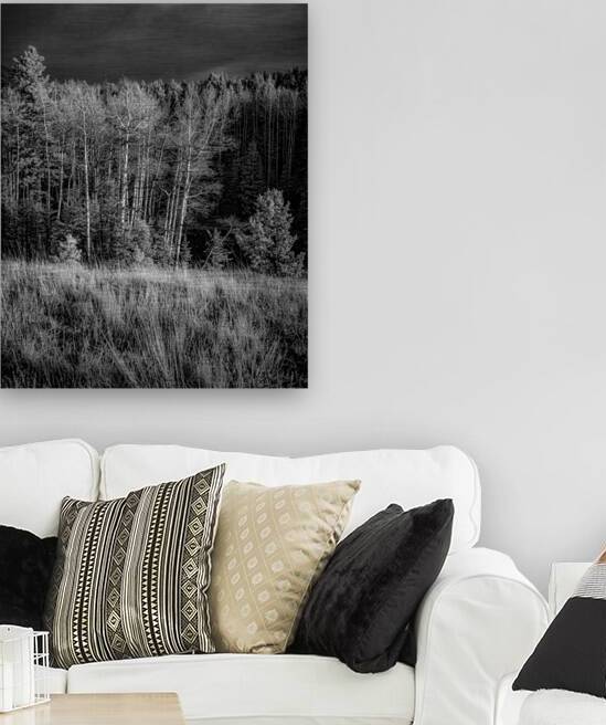 Mueller Aspen Series: Twilight Whispers by Dream World Images