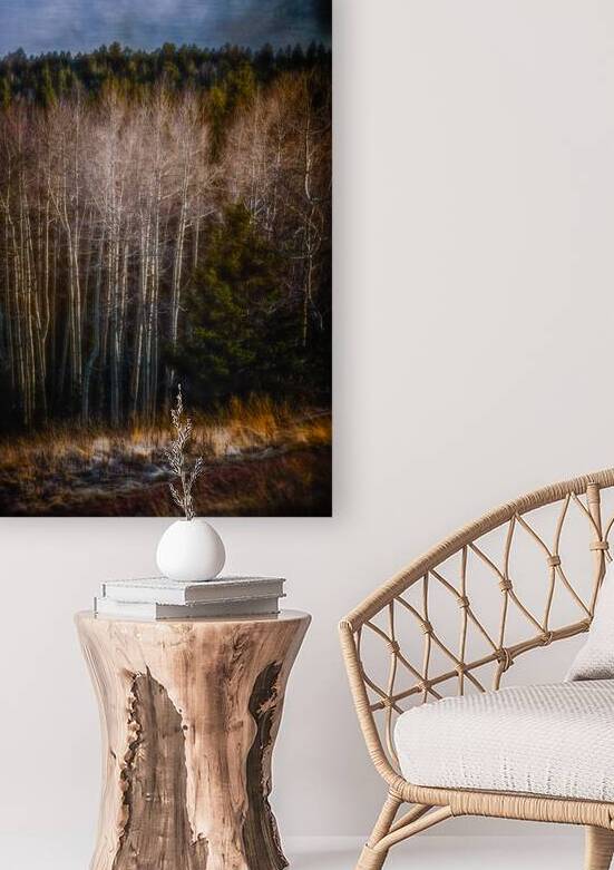 Mueller Aspen Series: Whispers of Fall by Dream World Images